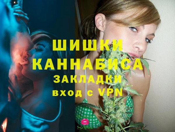 прущие грибы Арсеньев