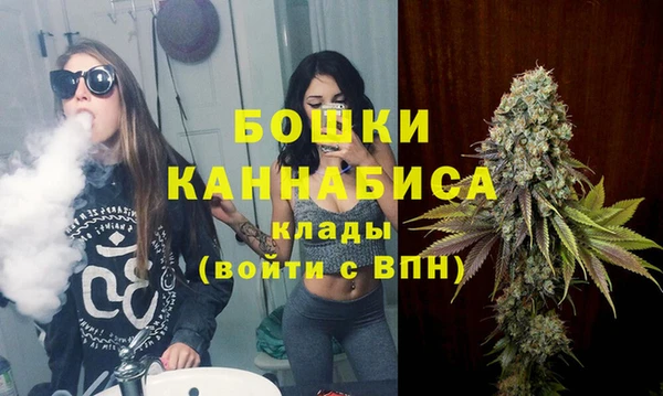 прущие грибы Арсеньев