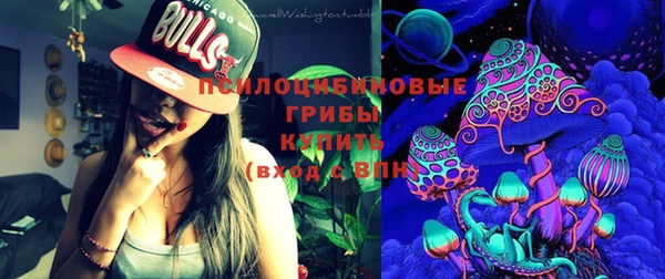 прущие грибы Арсеньев
