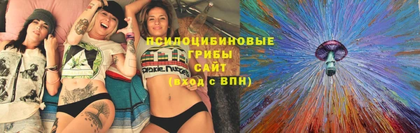 прущие грибы Арсеньев