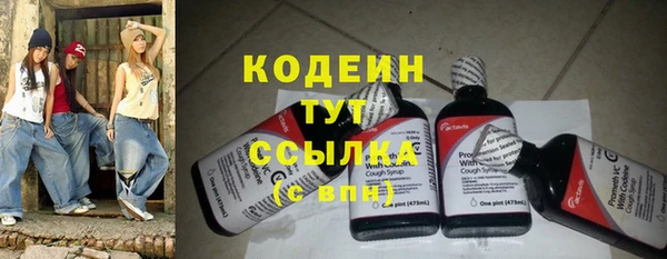 прущие грибы Арсеньев