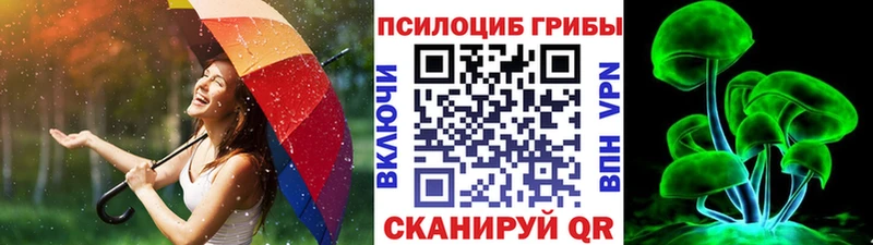 где купить наркоту  Бабаево  Псилоцибиновые грибы Magic Shrooms 